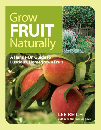 Planning a Fruit Garden